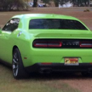 Meet your Posher, Ricardo